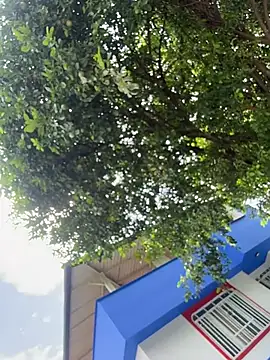 cam11_07 webcam