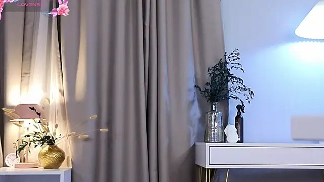 Vixaria webcam