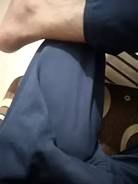 desiarnav webcam