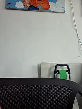 IrisBound webcam