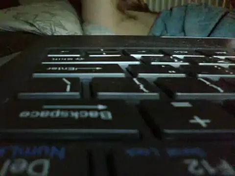 FROL83 webcam