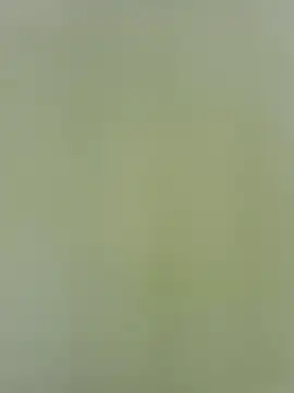 Amelia9798 webcam