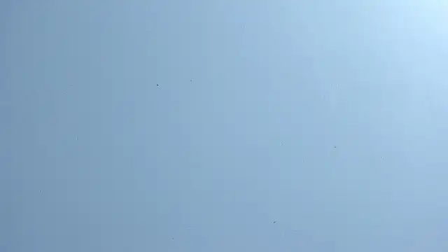 Michel_fitnes webcam