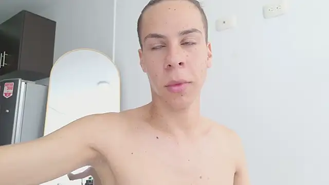 grey___27 webcam