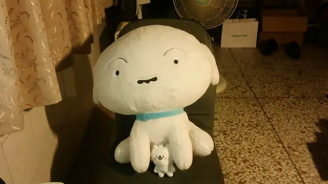 KYU890428 webcam
