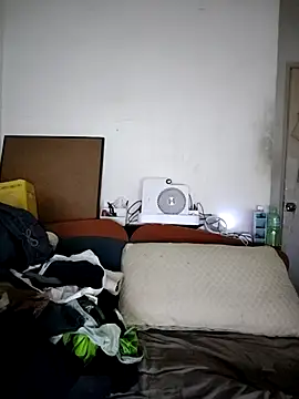 vice0818 webcam