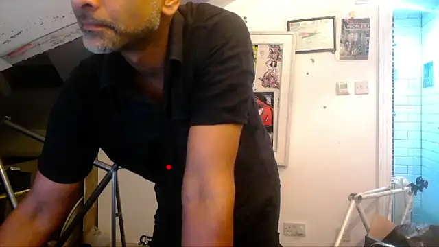 mista_sista_fista webcam
