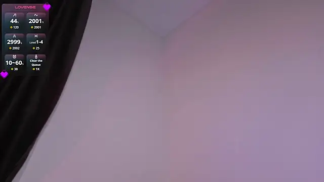 PetralPrime webcam