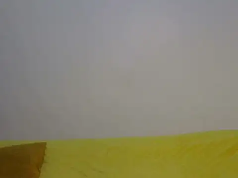 Sweettkendy webcam