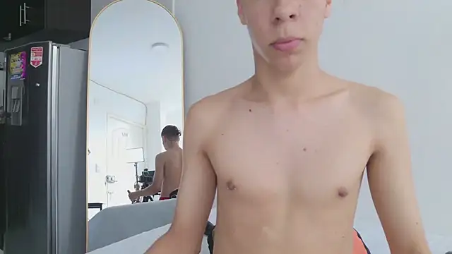 grey___27 webcam