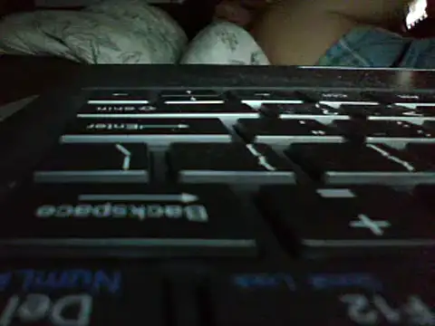 FROL83 webcam
