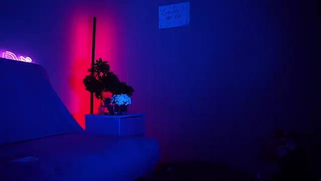 ywixos webcam