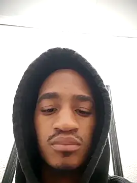 gemini_loops webcam