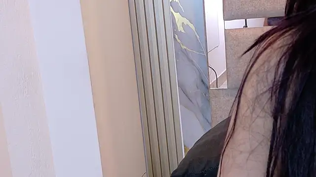 Abrilmirren webcam