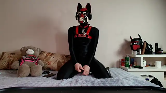 K9_GoodBoy webcam