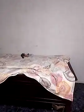 Mitchell2003 webcam