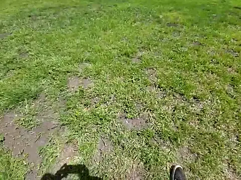 415cali925 webcam