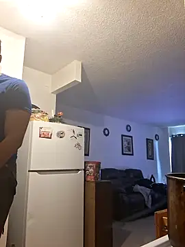 ReallyReallyReal webcam