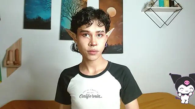 nicolai_a webcam