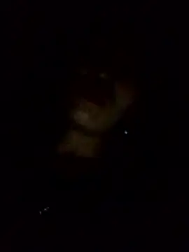 Thobaby112 webcam