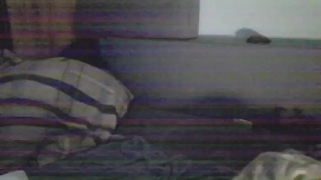 chceciedalsiebie webcam