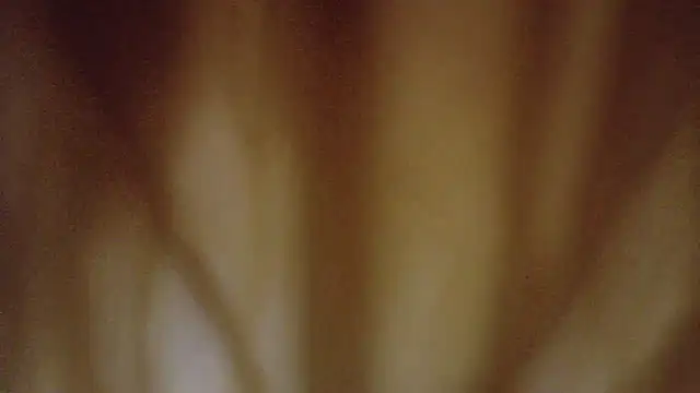 Emihaze webcam