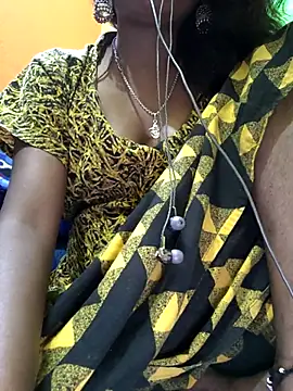 jasss-11 webcam
