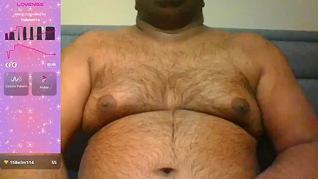 indianbearbot webcam