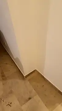 Pablonchy webcam