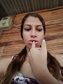 Vanneskk webcam