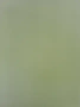 Amelia9798 webcam