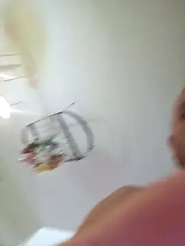 FrankieFuckMe webcam