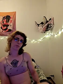 jaadetrans webcam