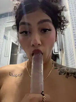 brizzmotion webcam
