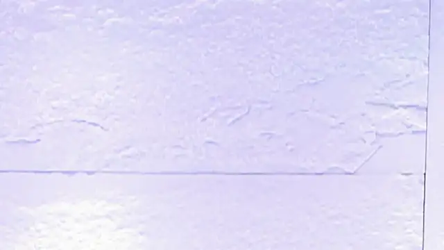 sarah_salis_ webcam