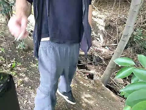 415cali925 webcam