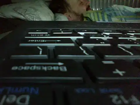 FROL83 webcam