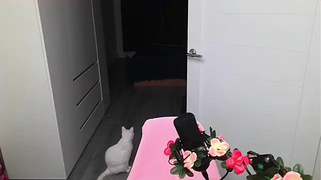peachyness webcam