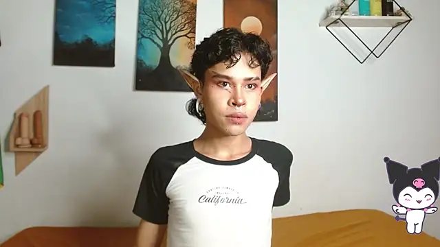 nicolai_a webcam