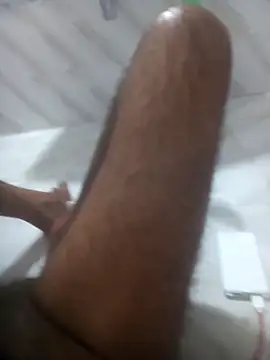 deshi9inch9 webcam