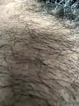 jellydicks webcam