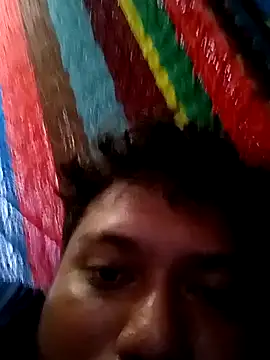 Preview of palanquita4
