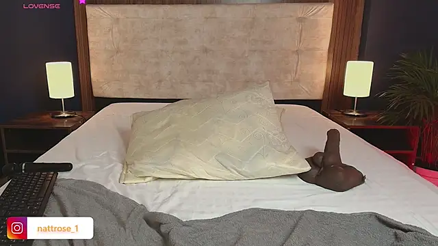 NATTROSE webcam