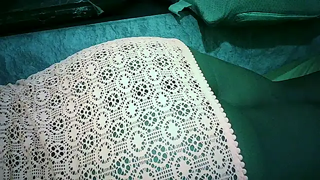 PrimBee webcam
