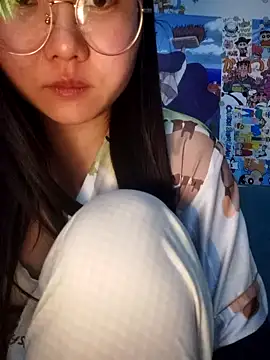 vvvan2026 webcam