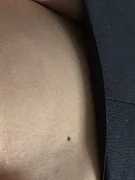 3littles webcam