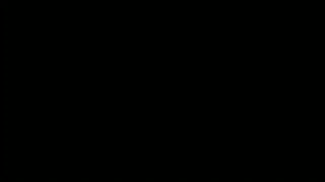kotkite webcam