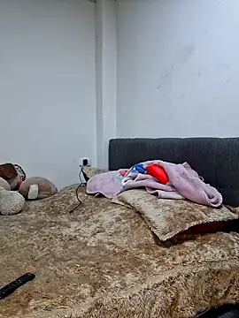 Niidia webcam