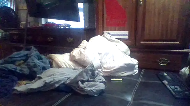 dickencidr webcam