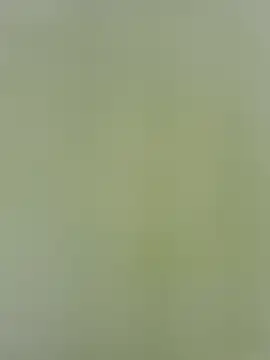 Amelia9798 webcam